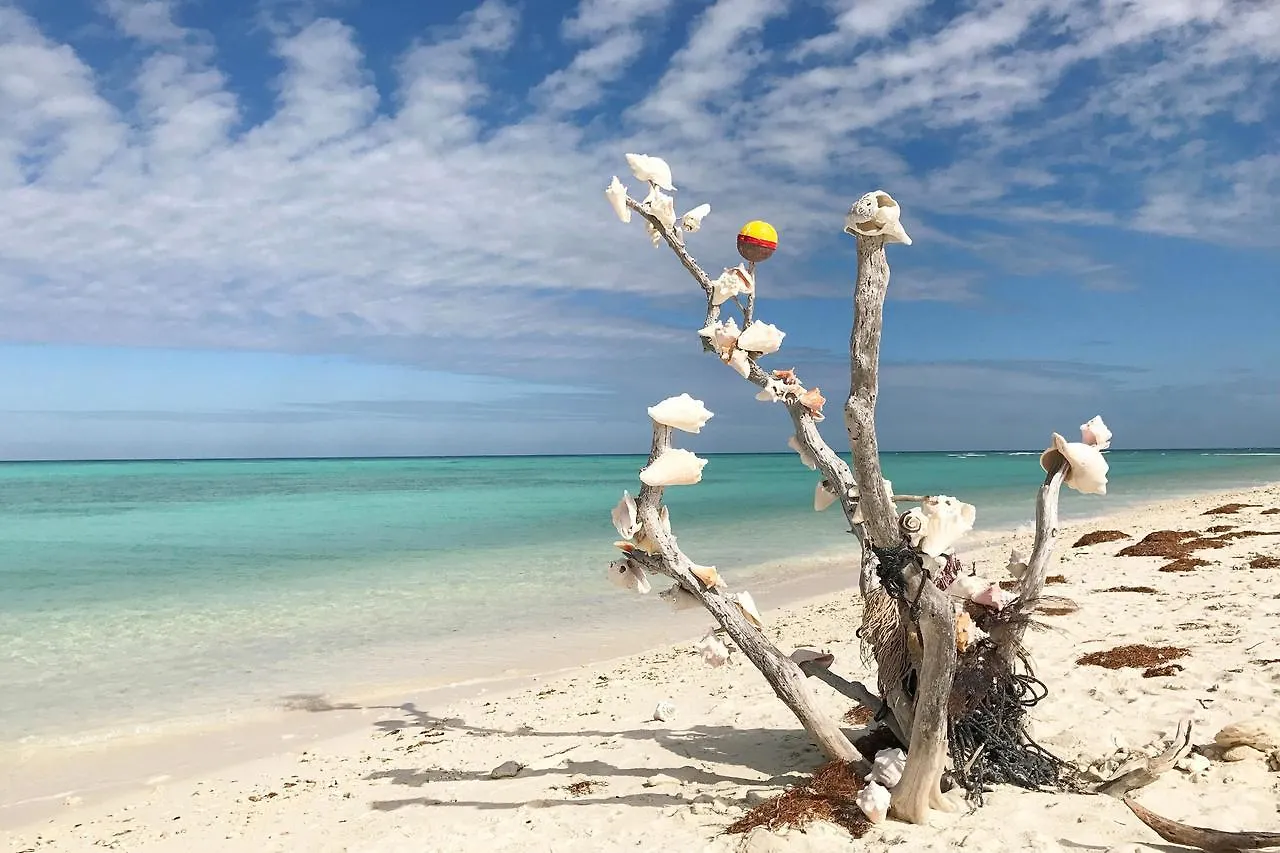 Holiday home Four Flowers Guesthouse Key West United States